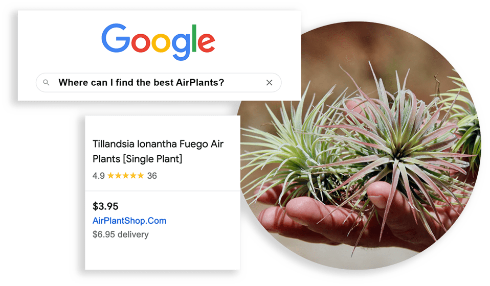 Collect Reviews and Testimonials Collect Reviews and Testimonials