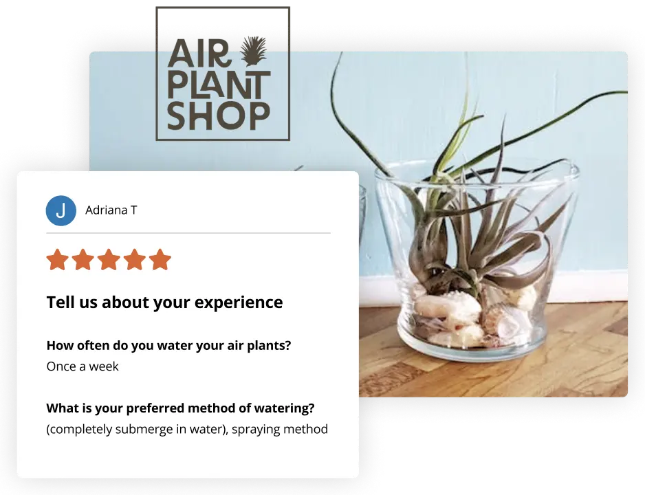airplant-review airplant review