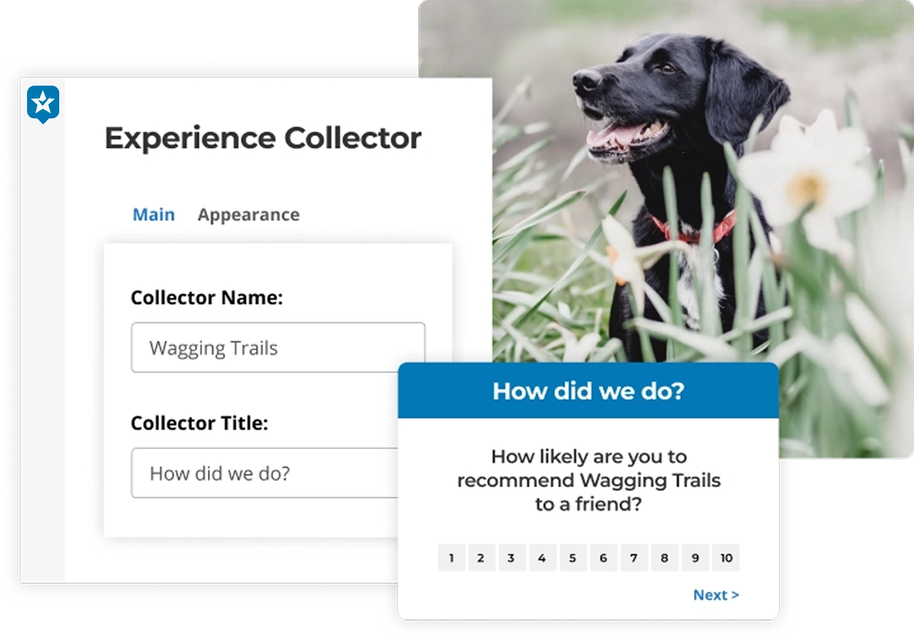 Company Reviews-05 Experience collector NPS survey