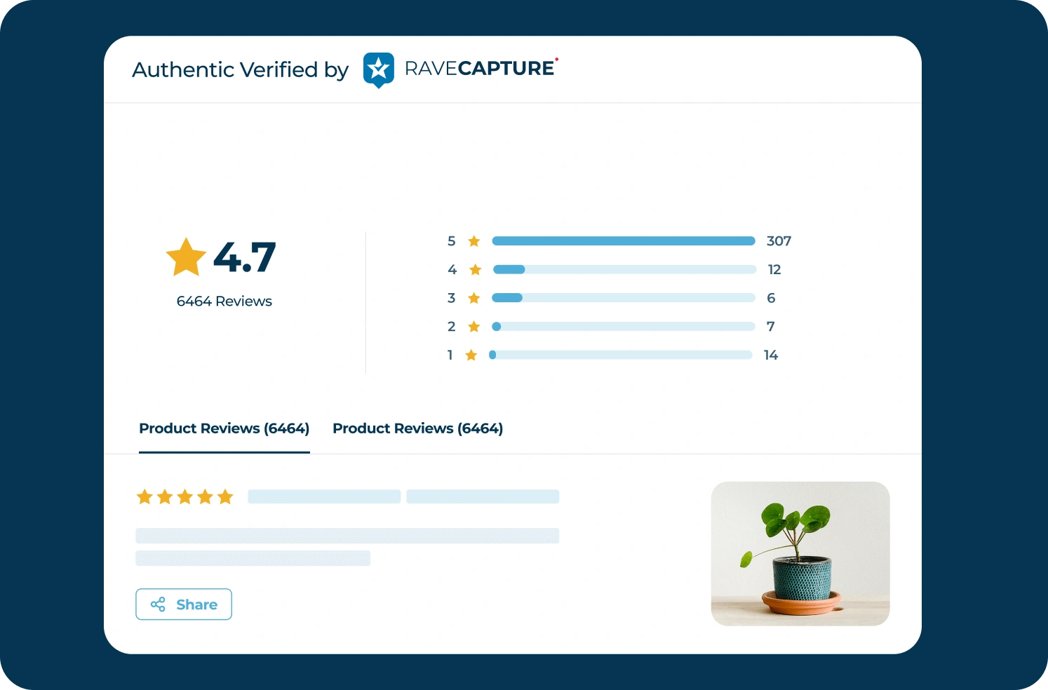 Display Reviews-02 RaveCapture Review Widget