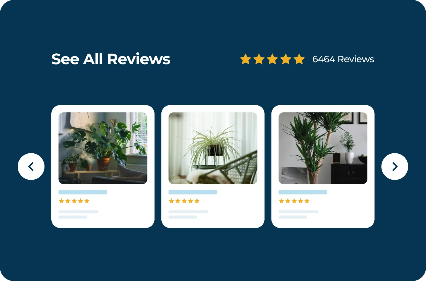 Product Review Carousel Widget RaveCapture Product Review Carousel Widget
