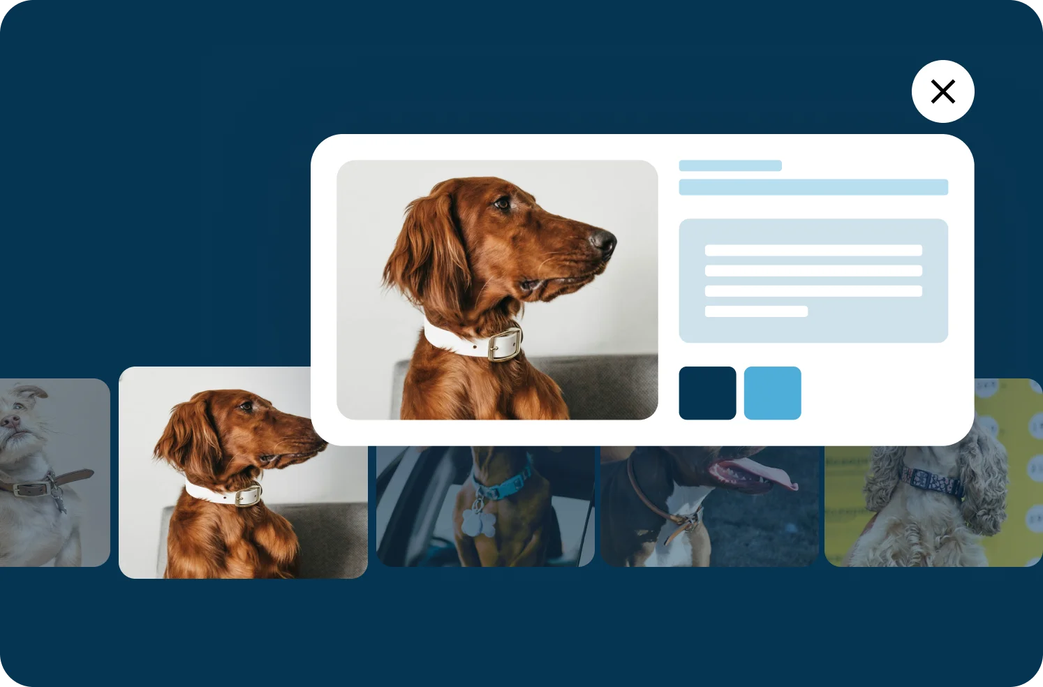 Visual Carousel Widget RaveCapture Visual Carousel Widget
